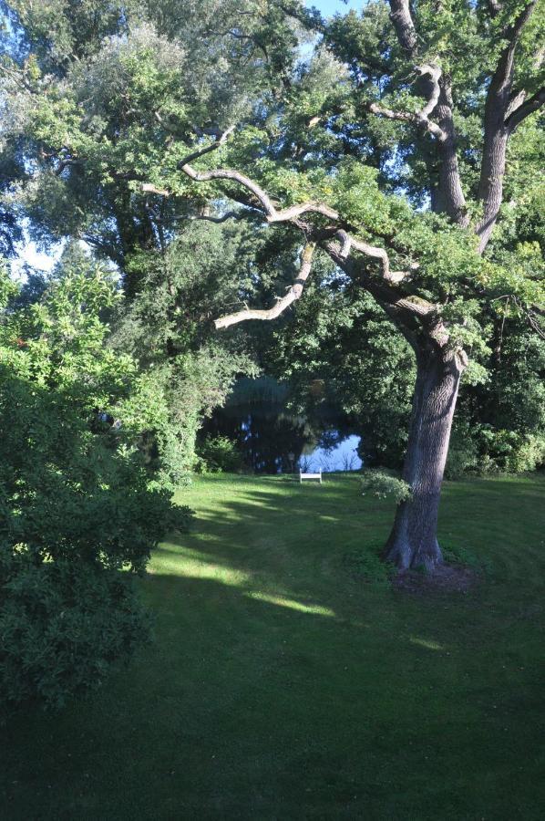 Gartenzimmer Im Schloss Neuhausen Neuhausen  Buitenkant foto