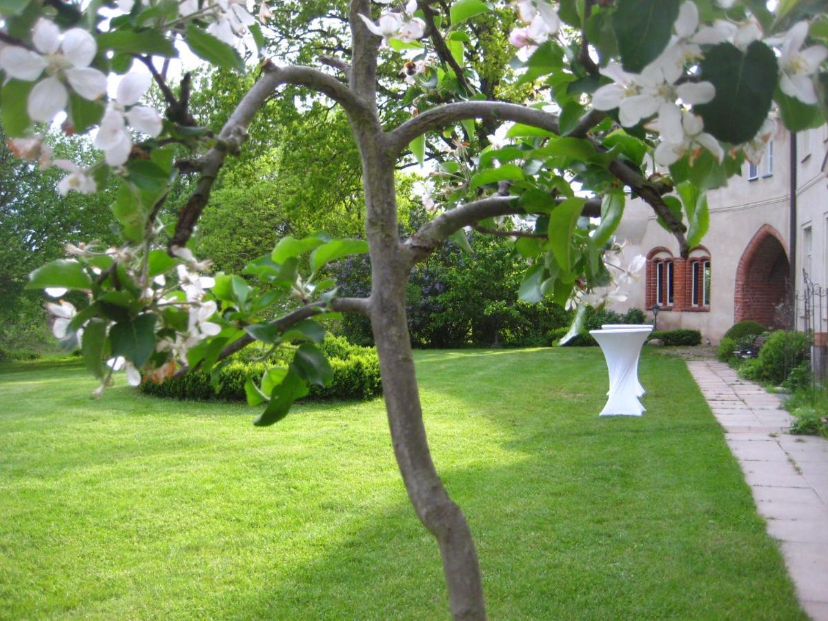 Gartenzimmer Im Schloss Neuhausen Neuhausen  Buitenkant foto
