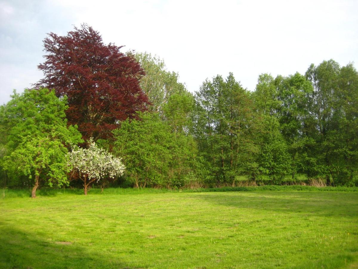 Gartenzimmer Im Schloss Neuhausen Neuhausen  Buitenkant foto