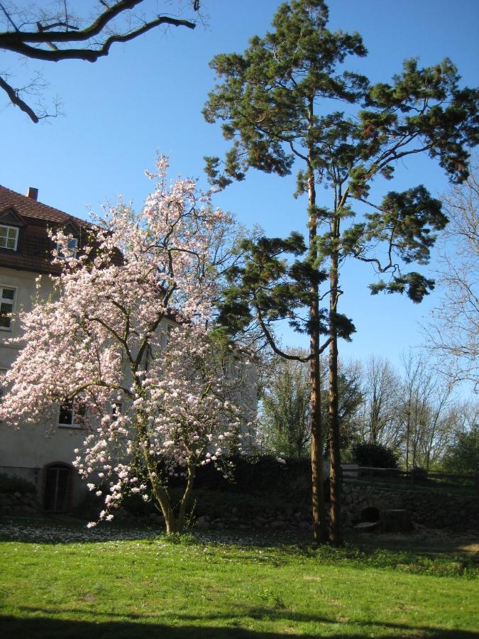 Gartenzimmer Im Schloss Neuhausen Neuhausen  Buitenkant foto
